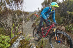 Image of CYCLE JOURNEYS Alps 2 Ocean - Twizel and Mount Cook, Canterbury